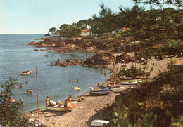 Delcampe - 83,VAR,SAINT AYGULF - Saint-Aygulf