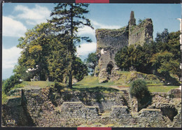 Delcampe - 61 - Domfront - Ruines Du Donjon - Domfront