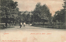 Delcampe - Baarn Amalia Park Met Hotel Zeiler M6329 - Baarn