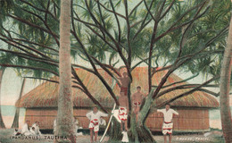 Polynésie Française - Tautira - Pandanus - Edit. F. Homes - Animé - Arbre - Enfant - Carte Postale Ancienne - Französisch-Polynesien