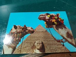 Delcampe - 365 // GIZA THE SPHINX AND THE PYRAMID - Gizeh