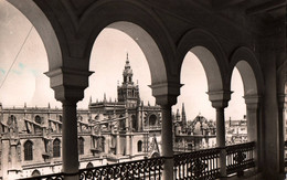 Delcampe - Sevilla - Vista Parcial De La Catedral - Sevilla