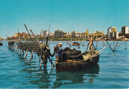 Delcampe - ITALIE(TARANTO) - Taranto