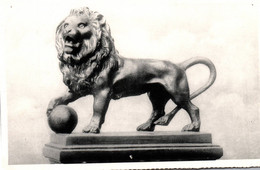 Delcampe - Waterloo Le Lion -édition Ern Thill (Photothill) - Waterloo