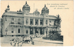 Monaco - Monte Carlo - Les Moutons Entrant Dans Le Casino De Monte Carlo - Carte Postale Vierge - Monte-Carlo