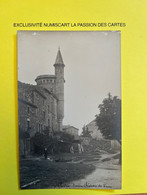 Delcampe - Pelussin Carte Photo Ancien Château De Virieu Demeure De Maîtres Châtelains - Pelussin