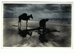 Delcampe - Garnaalvisser  Pêcheur De Crevettes - Fischerei