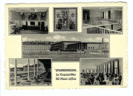 Delcampe - De Haan A/Zee Le Cocq-sur-Mer  SPARRENDUIN - De Haan
