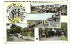 Delcampe - GROETEN UIT DEN HAAN  SOUVENIR DE COQ S/MER - De Haan