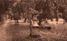 Delcampe - Jette - Sacré Coeur - Jette