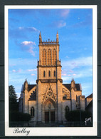 Delcampe - BELLEY - Cathédrale Saint Jean Baptiste - Belley