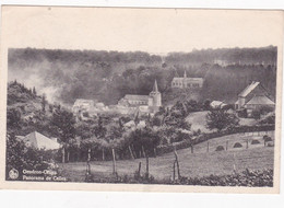 Delcampe - GENDRON CELLES  PANORAMA - Houyet