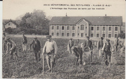 PLAISIR (78) - Asile Départemental Des Petits-Prés - L'Arrachage Des Pommes De Terre Par Les Assistés - Bon état - Plaisir