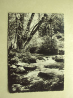 Delcampe - 48263 - LOGNE - LA LAMBREE - HOTEL RESTAURANT - LA LAMBREE PRES DE L'HOTEL - ZIE 2 FOTO'S - Ferrières