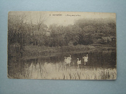 Bruxelles - Boitsfort - L'Etang Dans Le Parc - Watermael-Boitsfort - Watermaal-Bosvoorde