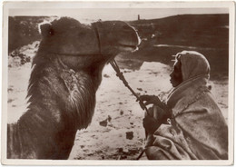 Delcampe - TRIPOLITANIA - CAMMELLO - CARTOLINA VIAGGIATA CON ANNULLO TRIPOLI E FRANCOBOLLO ASPORTATO - Libyen