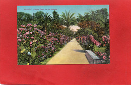 Delcampe - ESPAGNE---SEVILLA----Parque De Los Rosales--voir 2 Scans - Sevilla