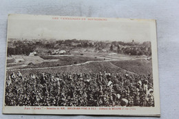 Delcampe - Cpa Publicitaire, Bouchard Et Fils, Beaune, Cote D'Or 21, Aux Cras, Vendanges, Publicité - Werbepostkarten