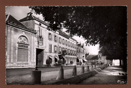 Delcampe - (RECTO / VERSO) PITHIVIERS - GRAND HOTEL DE LA POSTE ET LE MAIL OUEST - FORMAT CPA - Pithiviers