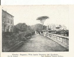 Delcampe - Viterbo - Viterbo
