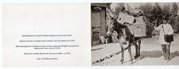Delcampe - 10428-ZE-SUISSE-VS-Mayens De Sion,transport Du Courrier à Dos De Mulet Vers 1900-------bel Affrnchissem - Sion