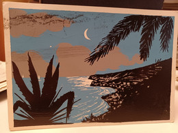 Delcampe - 3 Cartoline Illustrate Riviera Dei Fiori 1959, Notturno - Imperia