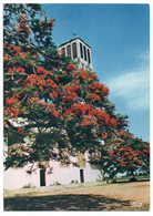 CONGO - POINTE-NOIRE LA CATHEDRALE SOUS LES FLAMBOYANTS EN FLEURS / THEMATIC STAMP - Pointe-Noire