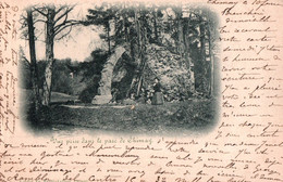 Delcampe - Chimay - Vue Prise Dans Le Parc - Chimay