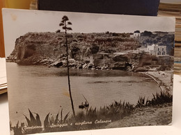 Cartolina Ventotene Provincia Latina Spiaggia Calanave Anni 60 - Latina