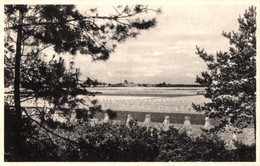 Delcampe - Bel - Vergezicht - Geel