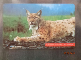 SLOVENSKO  -  LYNX   -   50 000  PIECES - Otros & Sin Clasificación