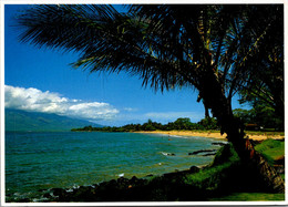 Hawaii Maui Kihei Kamoale Beach Park - Maui