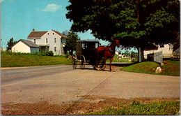 Pennsylvania Dutch Ciuntry Boxlike Amish Family Carriage - Lancaster