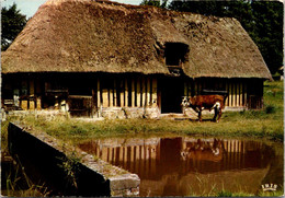 (2 Oø 11) France - Ferme En Normandie Et Vache (posted 1974) RTS - Return To Sender - Retour A L'Envoyeur - Fermes