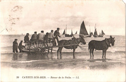 CPA 80 (Somme) Cayeux-sur-Mer - Retour De La Pêche - Visvangst