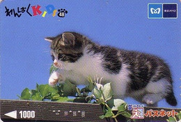 Carte Prépayée JAPON / Série KIDS 2 - ANIMAL - CHAT 48/51 - CAT JAPAN Prepaid Metro Ticket Card - KATZE Karte - Katten