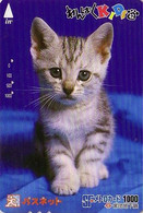 Carte Prépayée JAPON / Série KIDS 2 - ANIMAL - CHAT 42/51 - CAT JAPAN Prepaid Metro Ticket Card - KATZE Karte - Gatos