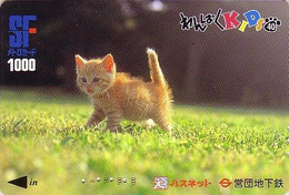 Carte Prépayée JAPON / Série KIDS 2 - ANIMAL - CHAT 40/51 - CAT JAPAN Prepaid Metro Ticket Card - KATZE Karte - Katten