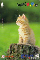 Carte Prépayée JAPON / Série KIDS 2 - ANIMAL - CHAT 36/51 - CAT JAPAN Prepaid Metro Ticket Card - KATZE Karte - Cats