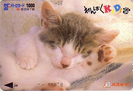 Carte Prépayée JAPON / Série KIDS 2 - ANIMAL - CHAT 34/51 - CAT JAPAN Prepaid Metro Ticket Card - KATZE Karte - Gatos