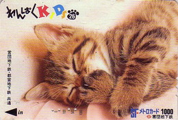 Carte Prépayée JAPON / Série KIDS 2 - ANIMAL - CHAT 26/51 - CAT JAPAN Prepaid Metro Ticket Card - KATZE Karte - Cats