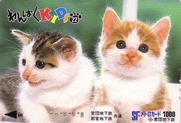 Carte Prépayée JAPON / Série KIDS 2 - ANIMAL - CHAT 22/51 - CAT JAPAN Prepaid Metro Ticket Card - KATZE Karte - Chats