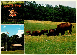 Missouri St Louis Grant's Farm Multi View - St Louis – Missouri