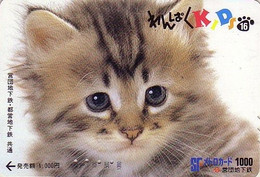 Carte Prépayée JAPON / Série KIDS 2 - ANIMAL - CHAT 16/51 - CAT JAPAN Prepaid Metro Ticket Card - KATZE Karte - Katten