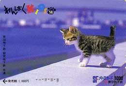 Carte Prépayée JAPON / Série KIDS 2 - ANIMAL - CHAT 14/51 - CAT JAPAN Prepaid Metro Ticket Card - KATZE Karte - Gatos