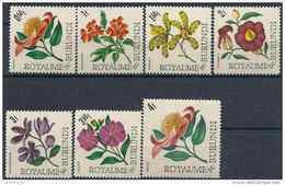 1966 BURUNDI 172-78** Série Courte Fleurs - Unused Stamps