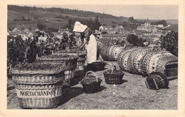 AGRICULTURE - VIGNES - Scène De Vendange à Le Mesnil Sur Oger - Moët Et Chandon  - Carte Postale Ancienne - Viñedos