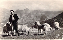 AGRICULTURE - ELEVAGE - BERGER DES PYRENEES Au Col D'Aubisque - P Chambon - Carte Postale Ancienne - Elevage