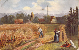 AGRICULTURE - CULTURE - Fauchage - Illustration Non Signée - Carte Postale Ancienne - Cultures