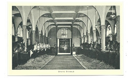 Postcard The State Stables With Horses Tuck's Royal Mews Buckingham Palace - Horses